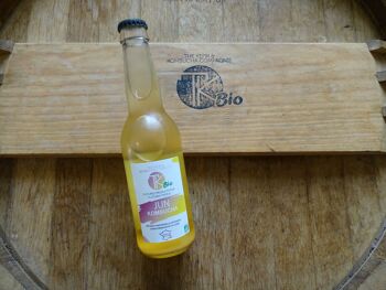 bio kombucha