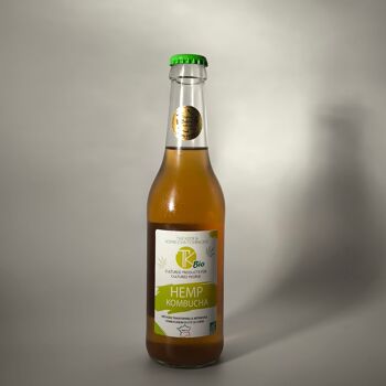 saba kombucha dubai